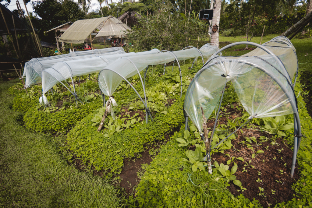 Jardin permaculture Bali